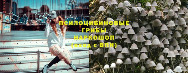 кристаллы Гусь-Хрустальный