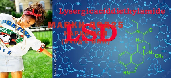 PSILOCYBIN Дмитров